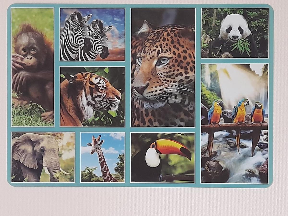דירות ז'ואני Animalier מראה חיצוני תמונה